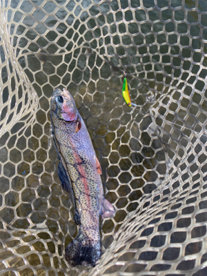 フィシングエリアほのぼの