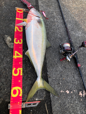 ボイル打ち⁉️…