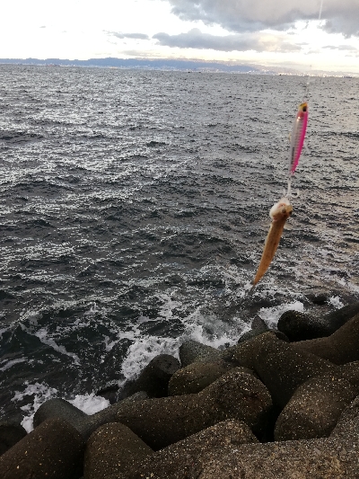 ショアジギング