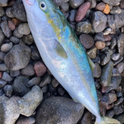 ショアジギング