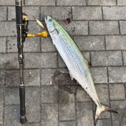 ワンバイト逃すも何とか青い牙1本。。