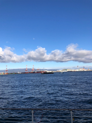 コスモスクエア　青物いました