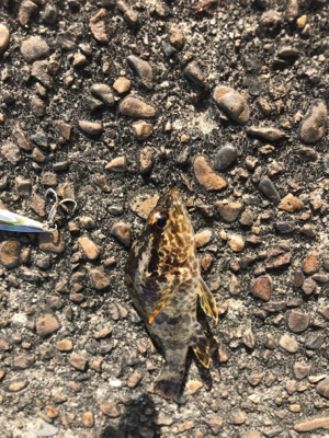 デイメバリング