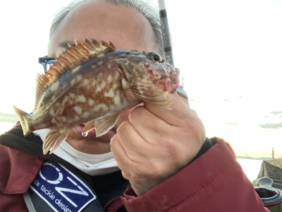 尺超え獲ったど〜