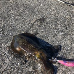 爆風！ランガン！連チャン！