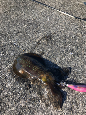 爆風！ランガン！連チャン！