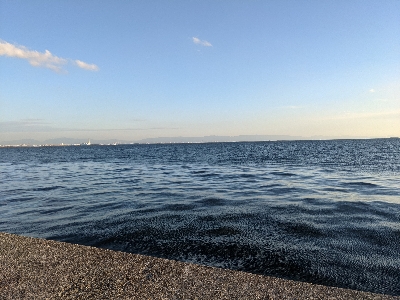 青物チャレンジ