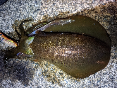 仕事終わりに…