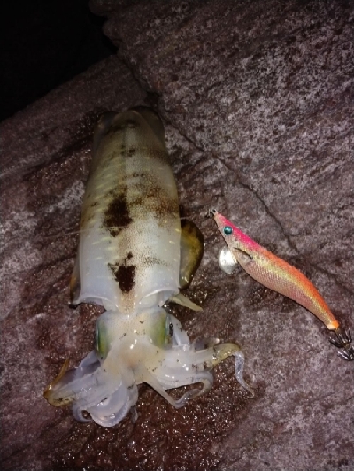 まさかまさかの！