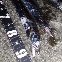 ムコイチ夕方編