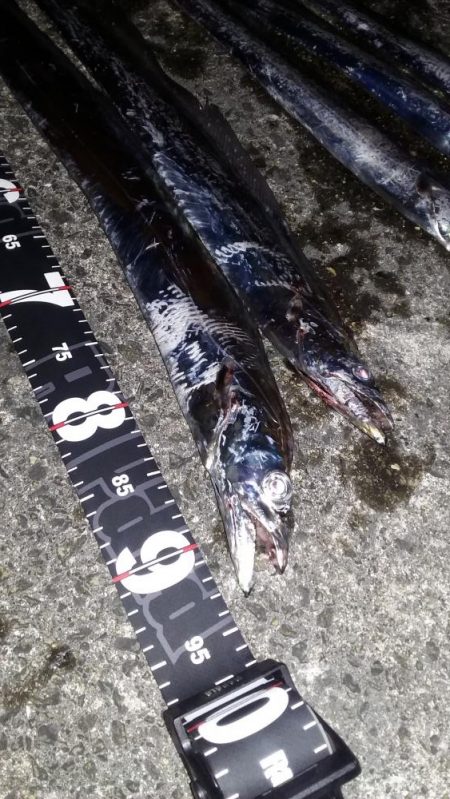 ムコイチ夕方編