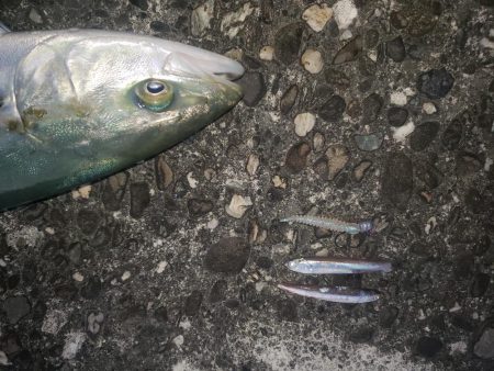 マッチtheベイト！