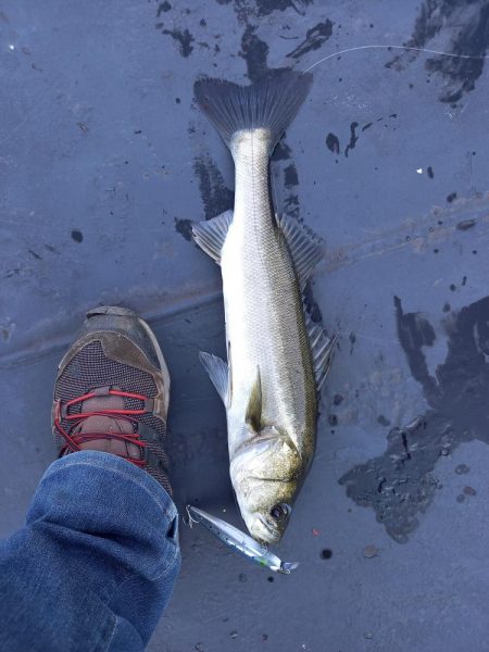 デイゲームはボチボチでした