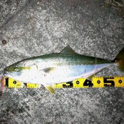 夕暮れでヒット