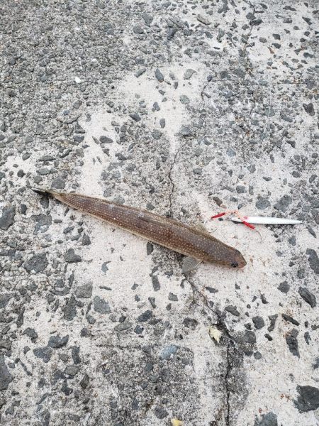 天気恵まれ最初の取れてたら満点だったのに、、!