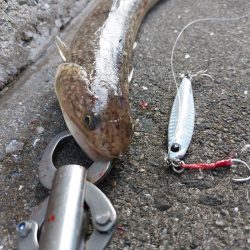 プチsalt water game