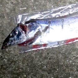 1回のアタリを仕留めた!