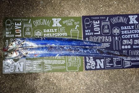 坊主覚悟から5匹