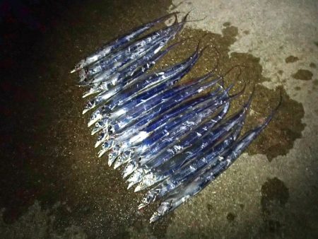 タチウオ ツ抜け