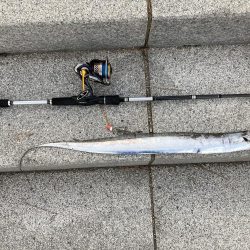 ⭐︎久しぶりのタチウオ！