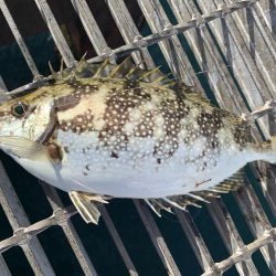 秋ですね。朝は肌寒い