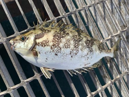 秋ですね。朝は肌寒い