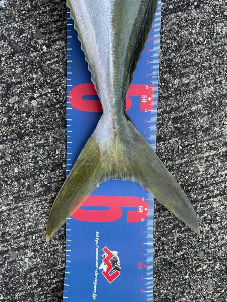 ショアジギング