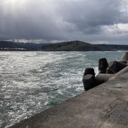 ショアジギング