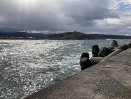 ショアジギング