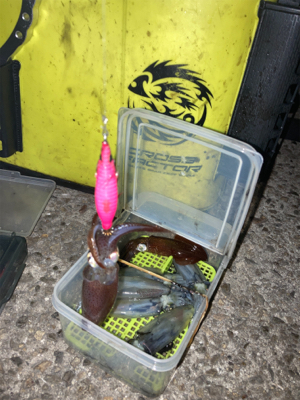 爆風の中ヒイカ釣りσ(^_^;)