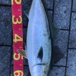 波穏やかな南港