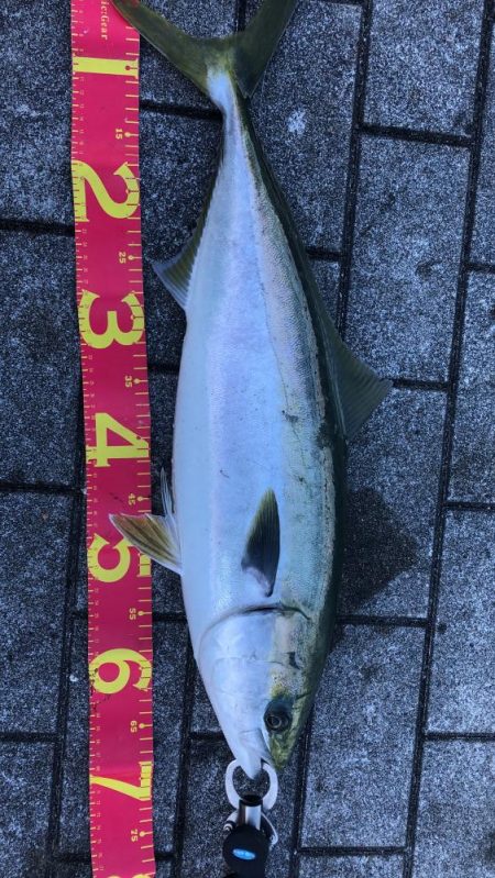 波穏やかな南港