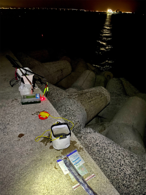 1匹だけ。下手っぴーすみません