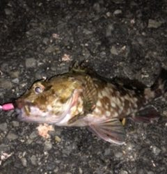 五種目達成ならず