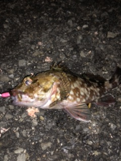 五種目達成ならず