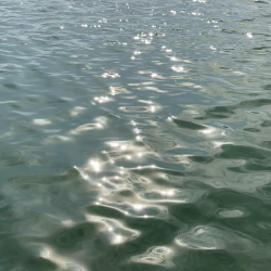 サヨリ釣りとアジ釣り