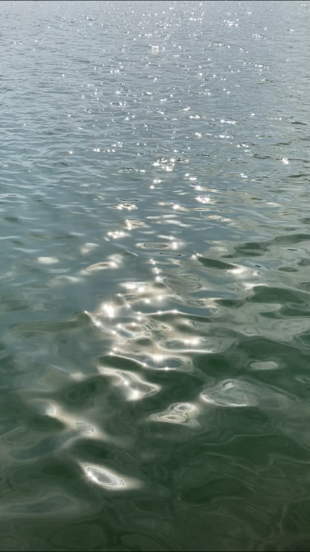 サヨリ釣りとアジ釣り