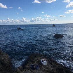 たかたか釣り日記