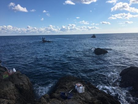 たかたか釣り日記