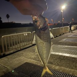 尺まであと少し