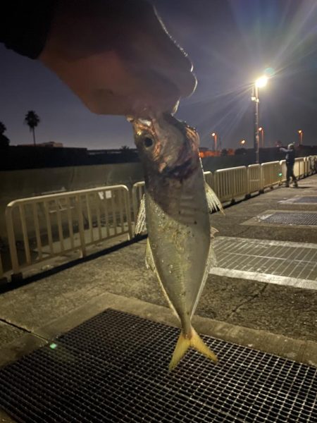 尺まであと少し