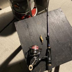 明日も行くかも？ヒイカ釣り！！