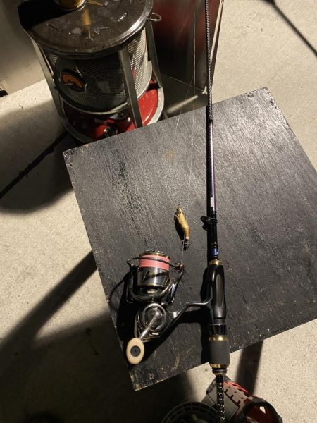 明日も行くかも？ヒイカ釣り！！