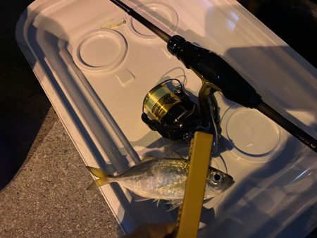 渋いながらも鱗付け