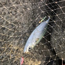 予想外、でも嬉しい