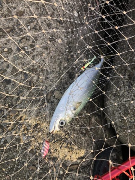 予想外、でも嬉しい