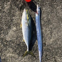 マイクロベイトパターン攻略?