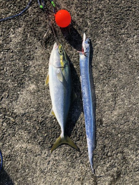 マイクロベイトパターン攻略？