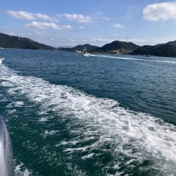 鳴門沖でハマチ