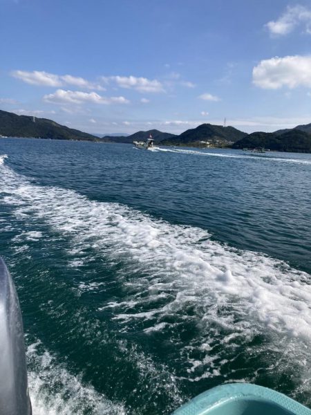 鳴門沖でハマチ